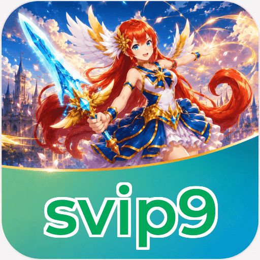 svip9 Installation Steps